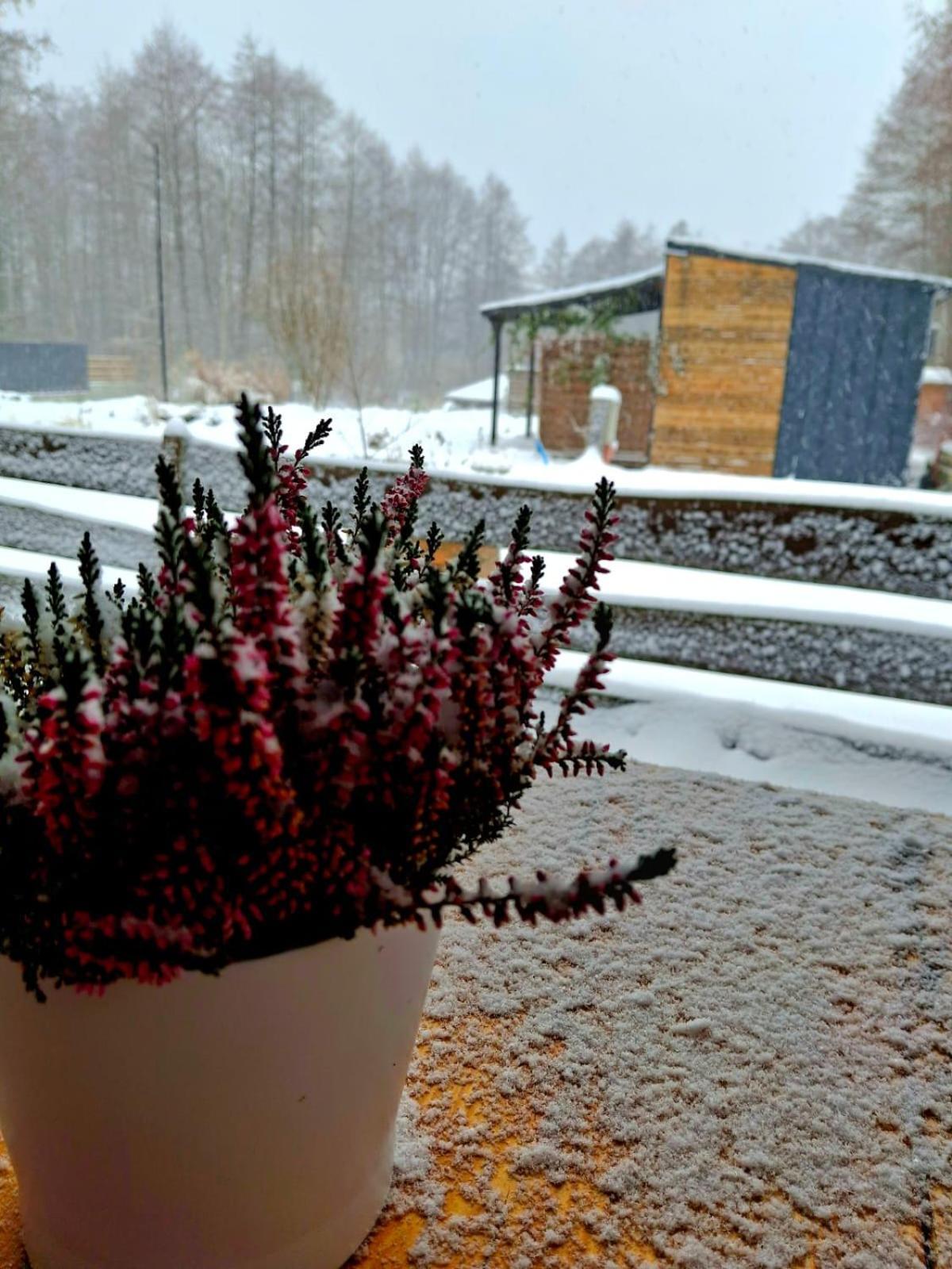 Andrychów Osada Pod Lasem المظهر الخارجي الصورة